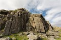 sheeps tor2